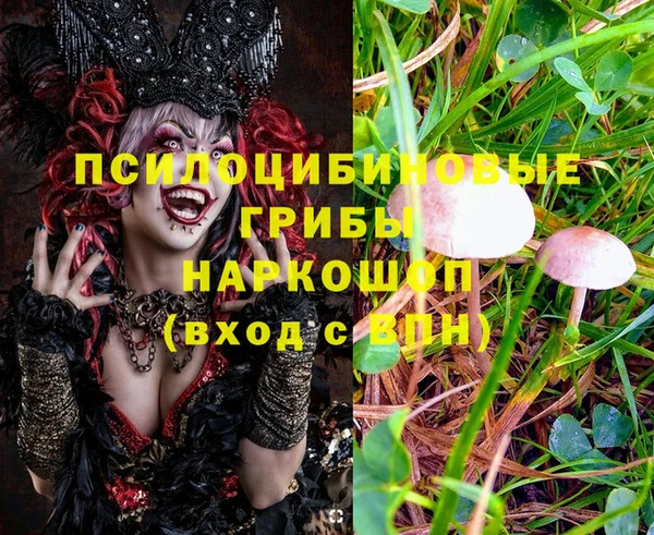 марки lsd Аркадак