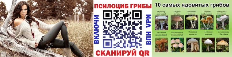 Псилоцибиновые грибы прущие грибы  где купить наркоту  Похвистнево 